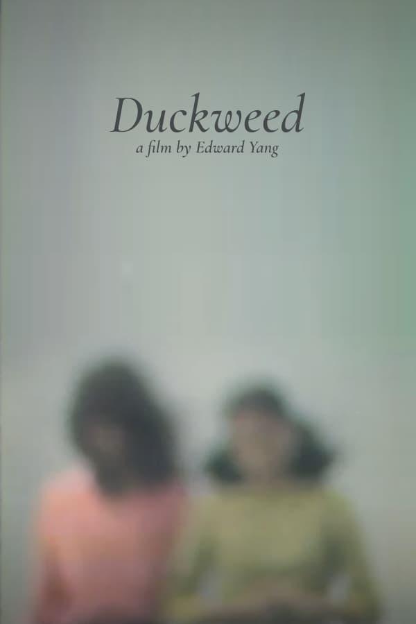 Duckweed poster