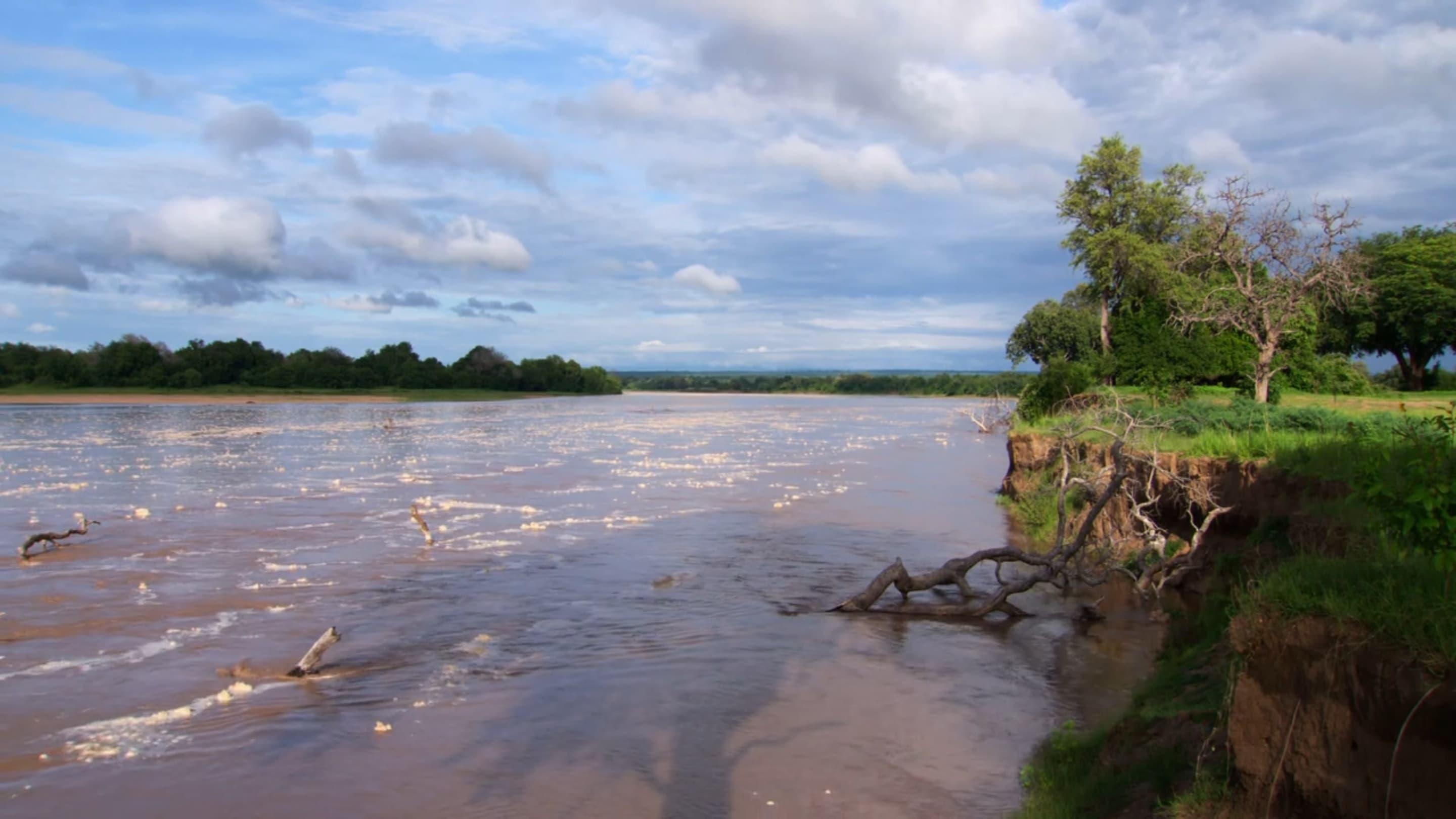 Africa River Wild backdrop