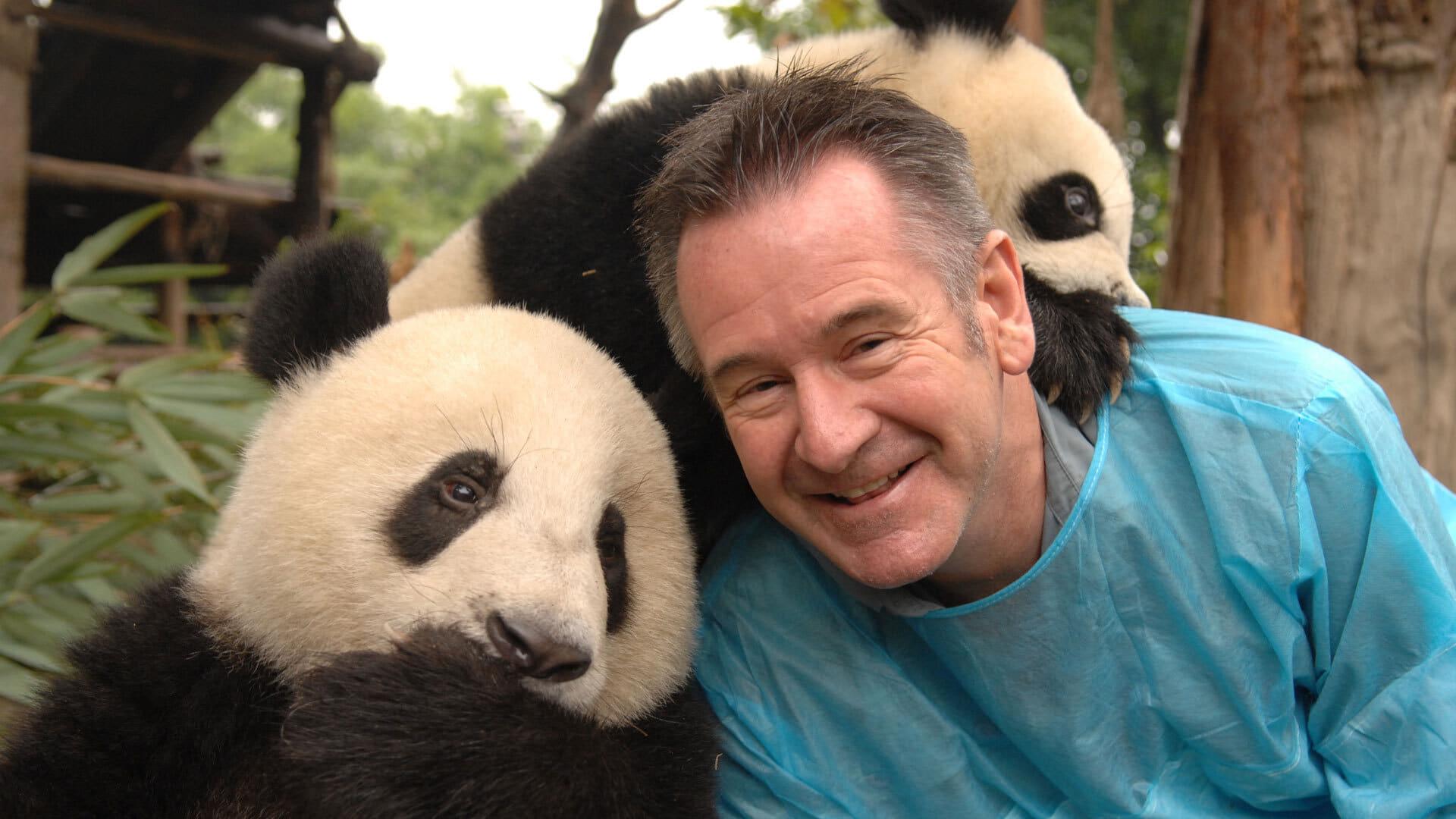 Panda Adventure with Nigel Marven backdrop