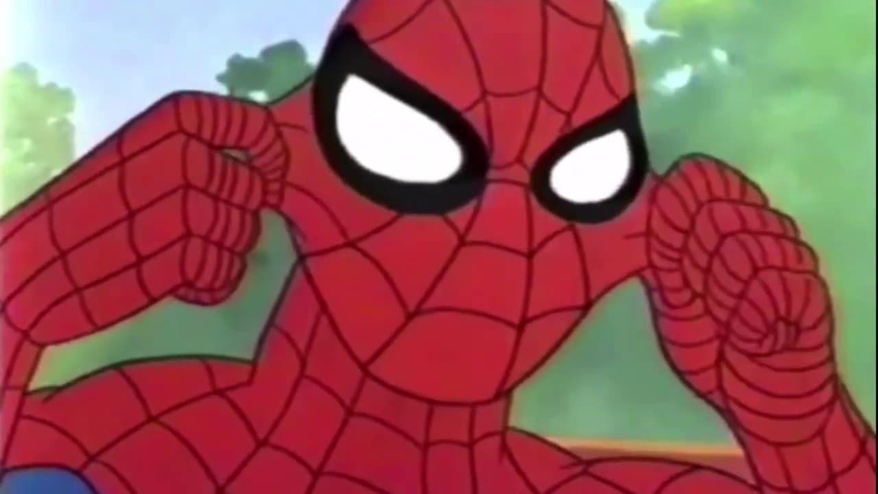 Spider-Man: Don't Hide Abuse backdrop