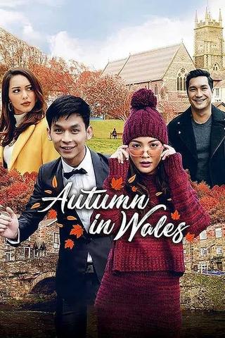 Autumn in Wales poster