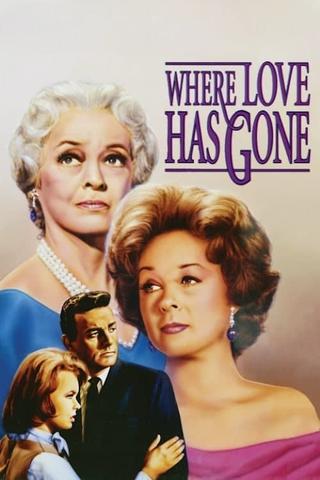 Where Love Has Gone poster