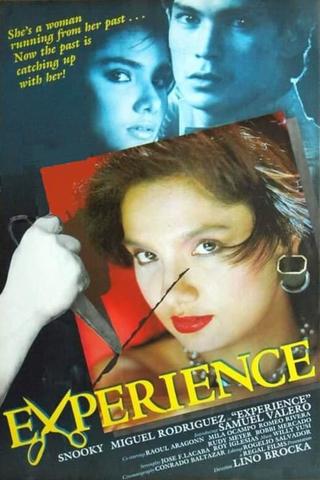 Experience poster