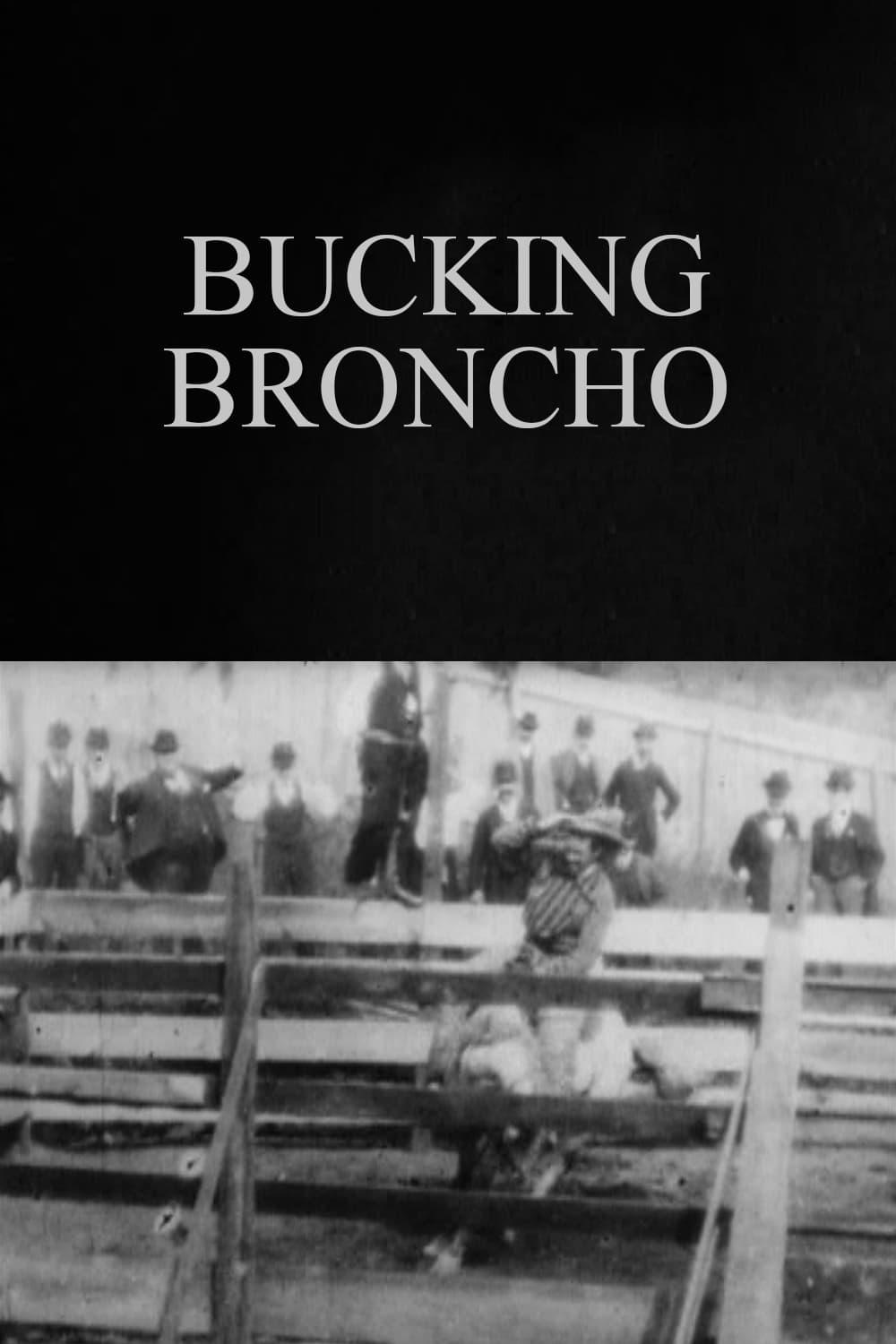 Bucking Broncho poster