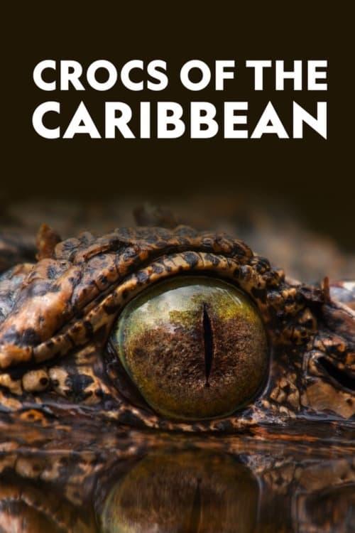 Life and Death in Paradise: Crocs of the Caribbean poster