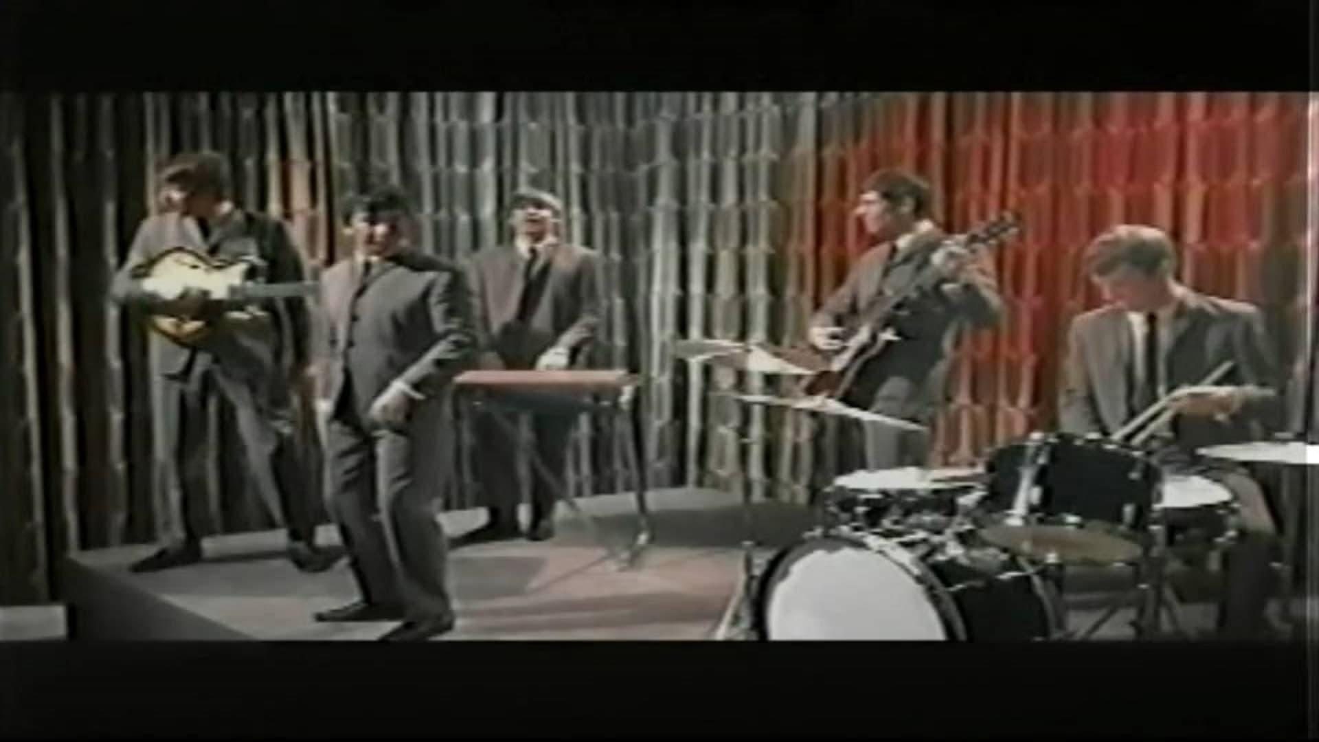 The Animals - Live Performances 1964-1998 backdrop