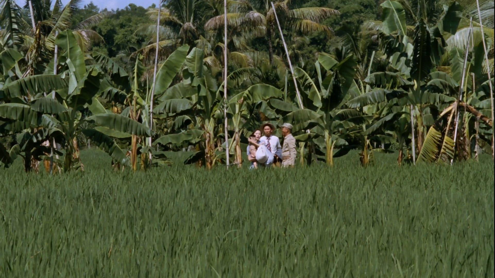 Banana Paradise backdrop