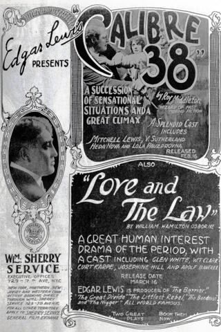 Love and the Law poster