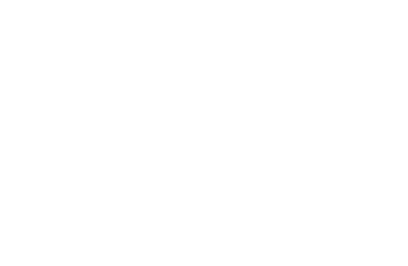 Summer Rebels logo