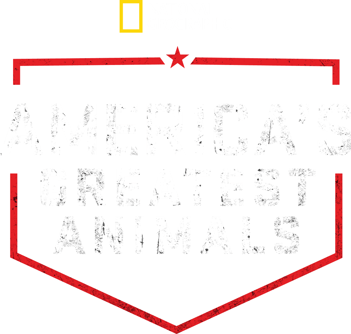 America's Greatest Animals logo