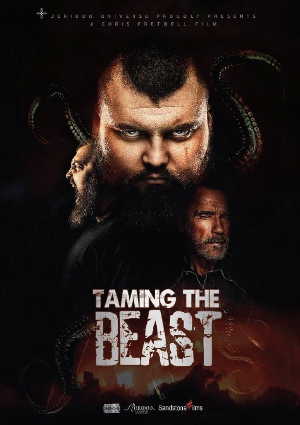 Taming The Beast – The Emptiness Within poster