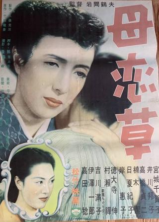母恋草 poster