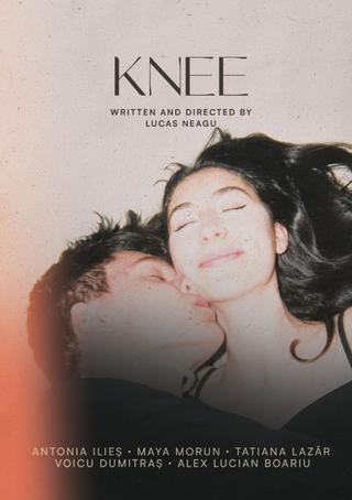 Knee poster