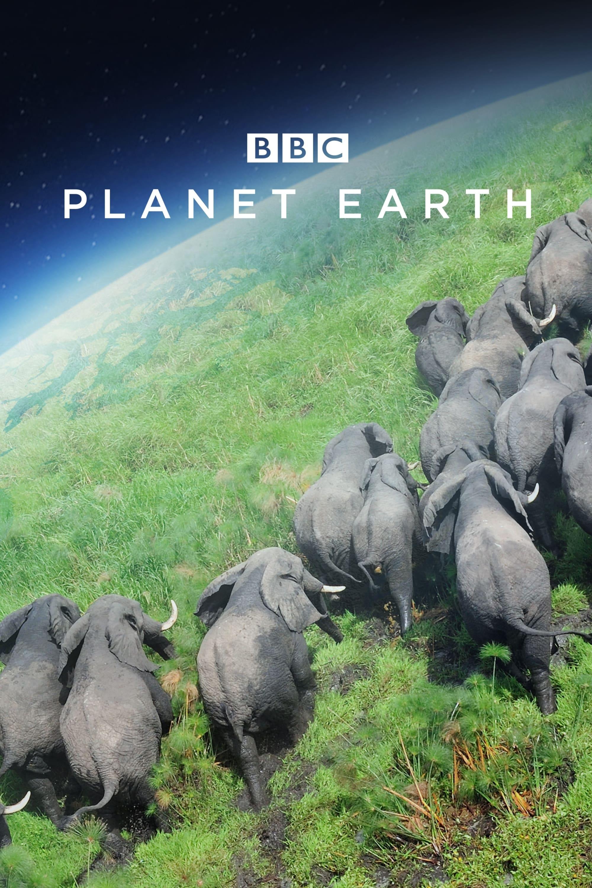 Planet Earth poster