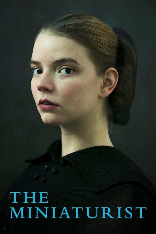 The Miniaturist poster