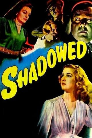 Shadowed poster