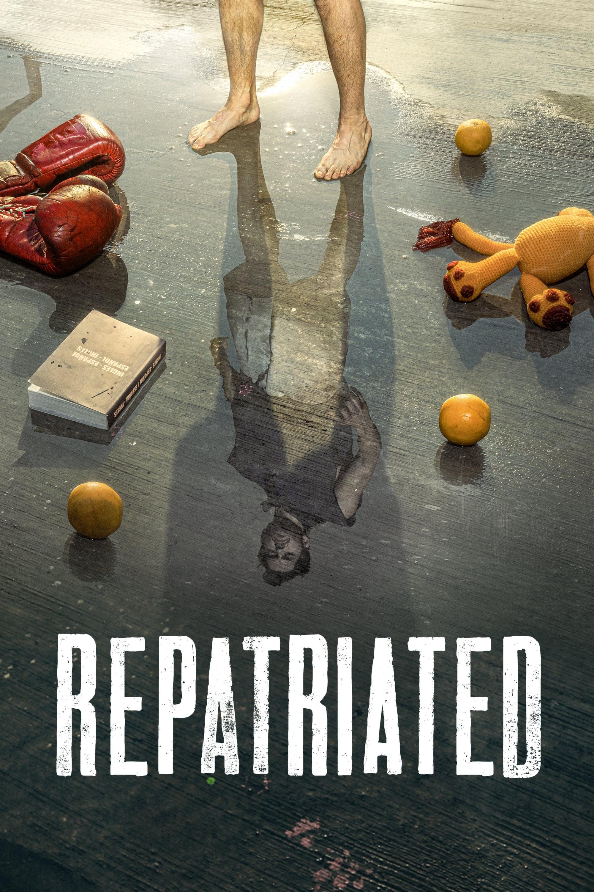 Repatriated poster