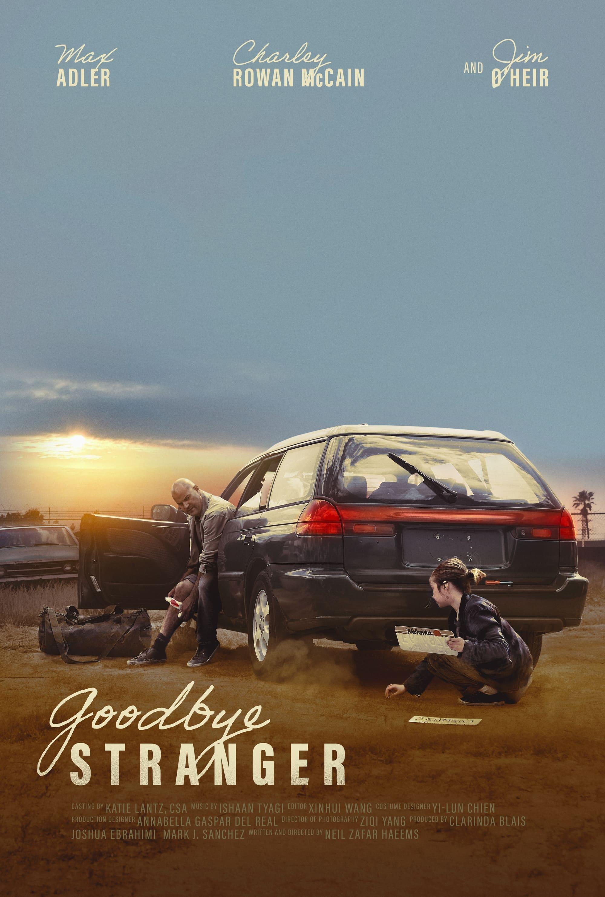 Goodbye Stranger poster