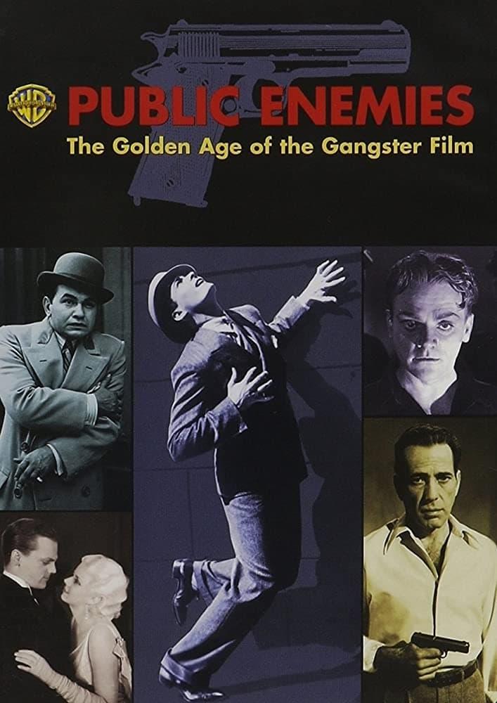 Public Enemies: The Golden Age of the Gangster Film poster