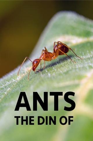 The Din Of Ants poster