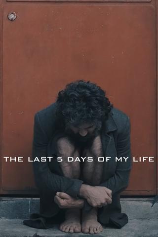 The Last 5 Days of My Life poster