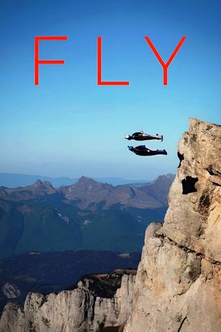 Fly poster