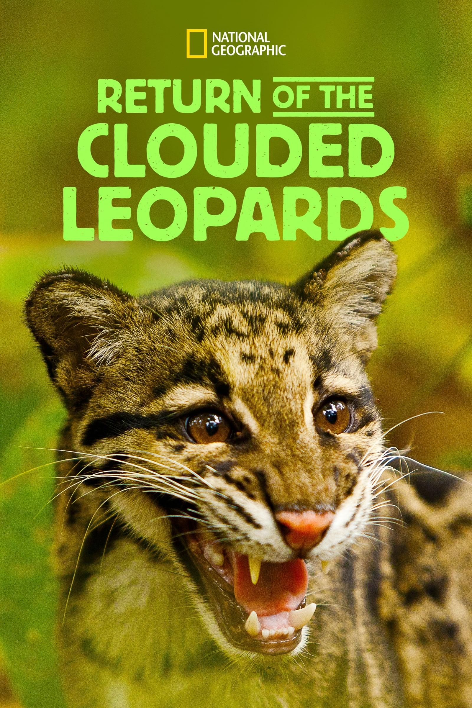 Return of the Clouded Leopards poster
