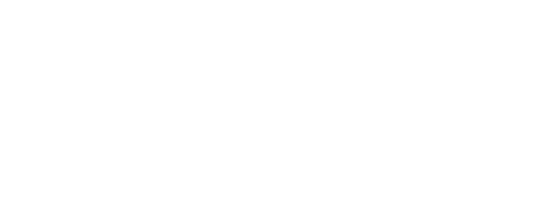 Swashbuckler logo