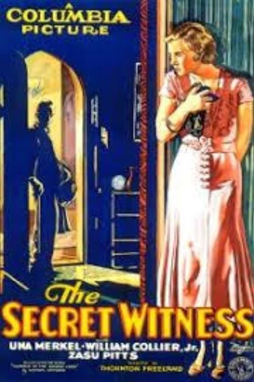 The Secret Witness poster