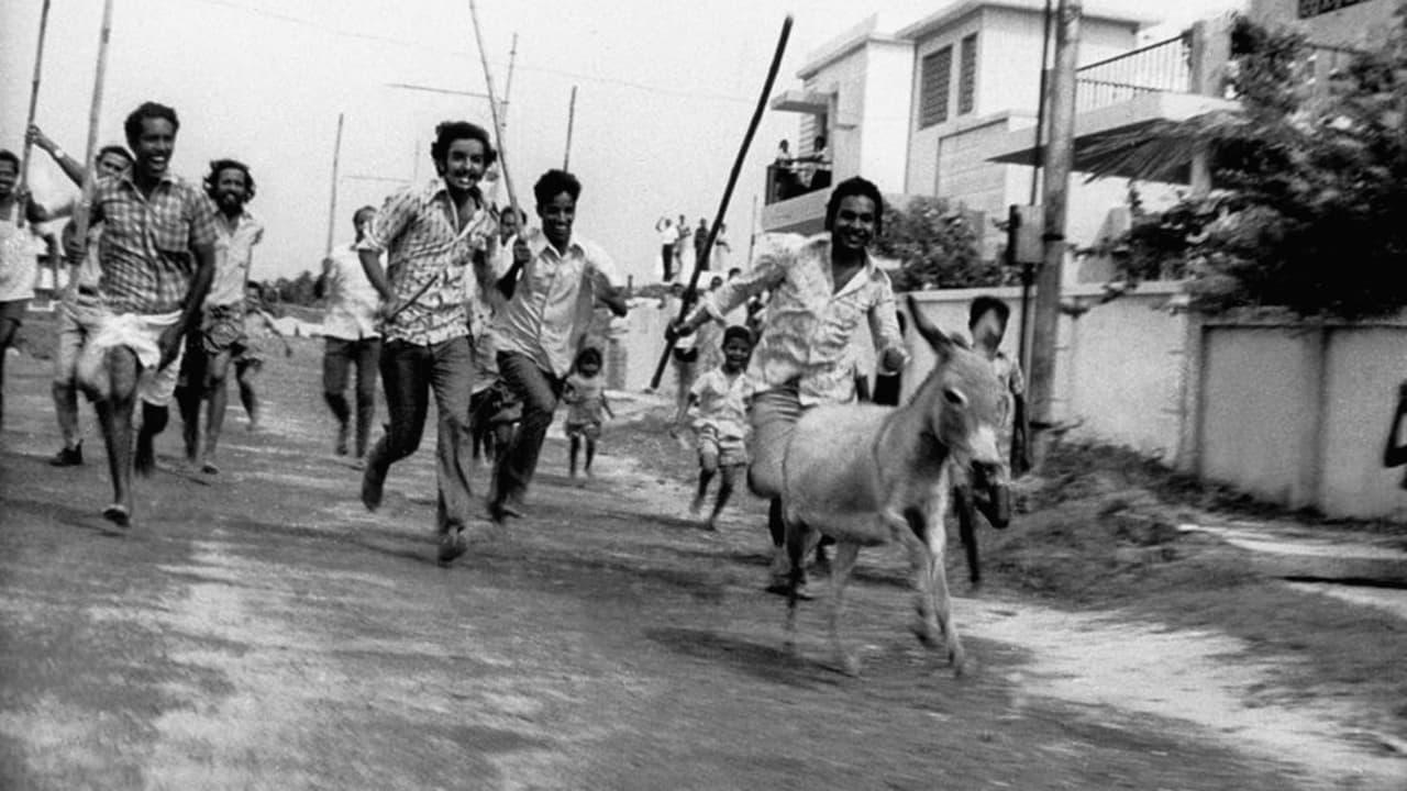 Donkey in a Brahmin Village backdrop