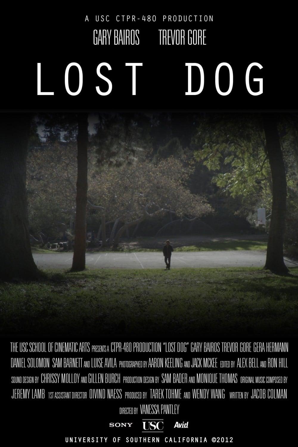 Lost Dog poster