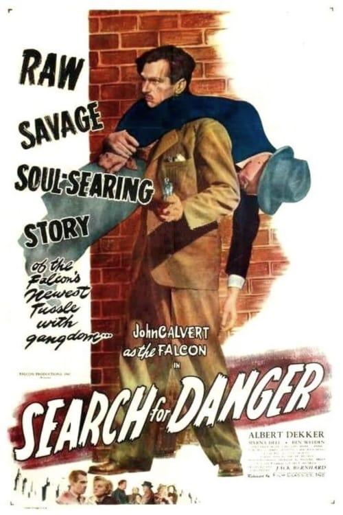 Search for Danger poster