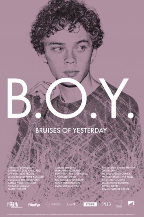 B.O.Y. - Bruises of Yesterday poster