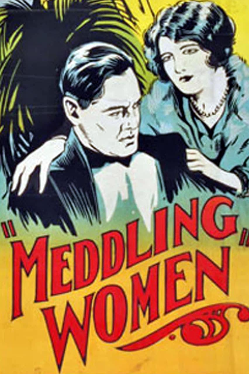 Meddling Women poster