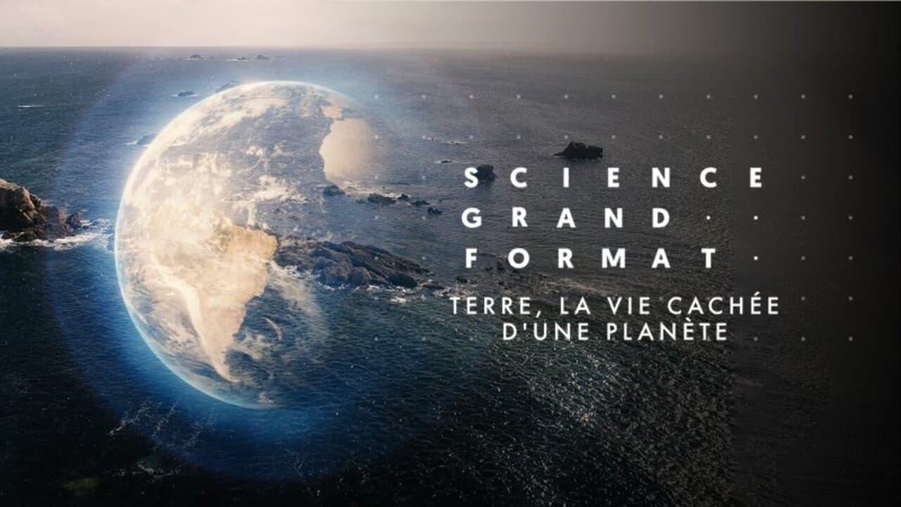 Terre, la vie cachée d'une planète backdrop