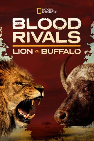 Blood Rivals: Lion vs Buffalo poster