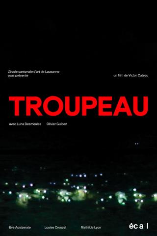 Troupeau poster