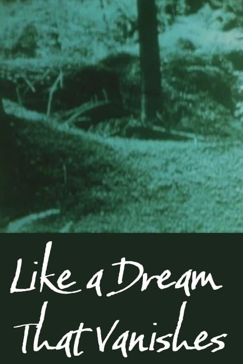 Like a Dream that Vanishes poster