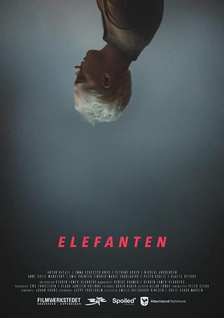 Elefanten poster