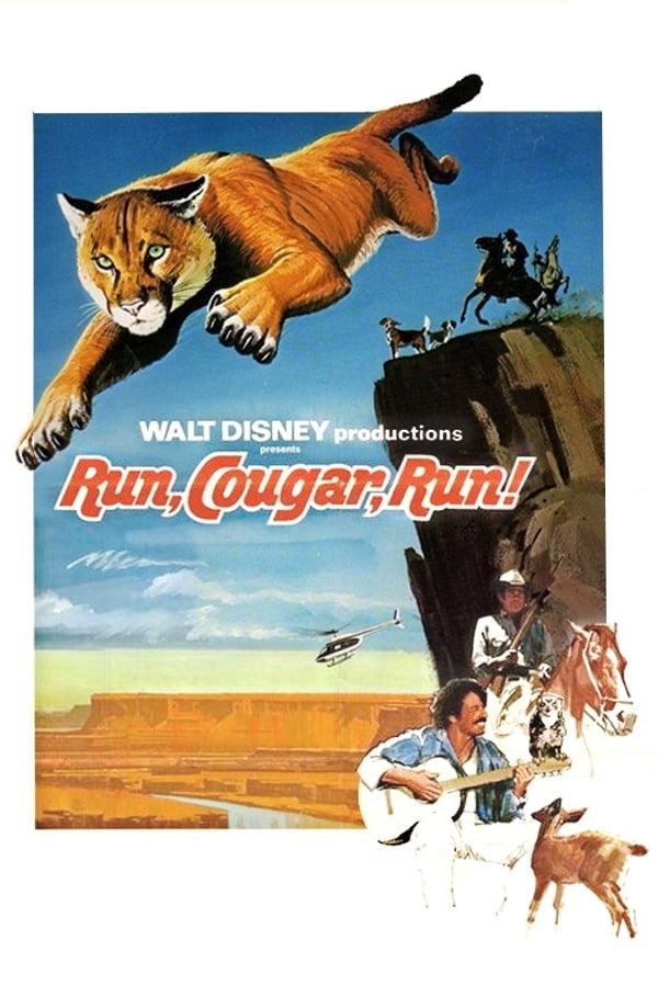 Run, Cougar, Run poster