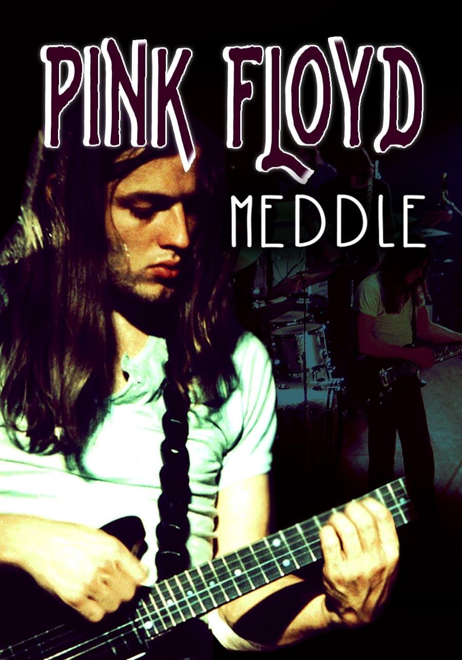 Rock Milestones: Pink Floyd: Meddle poster