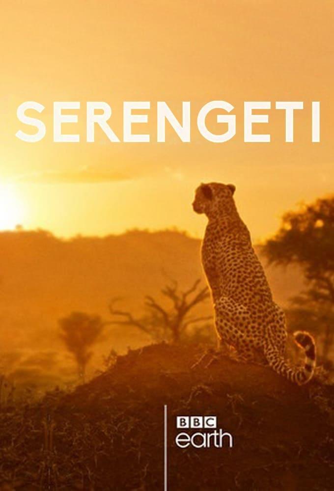 Serengeti poster