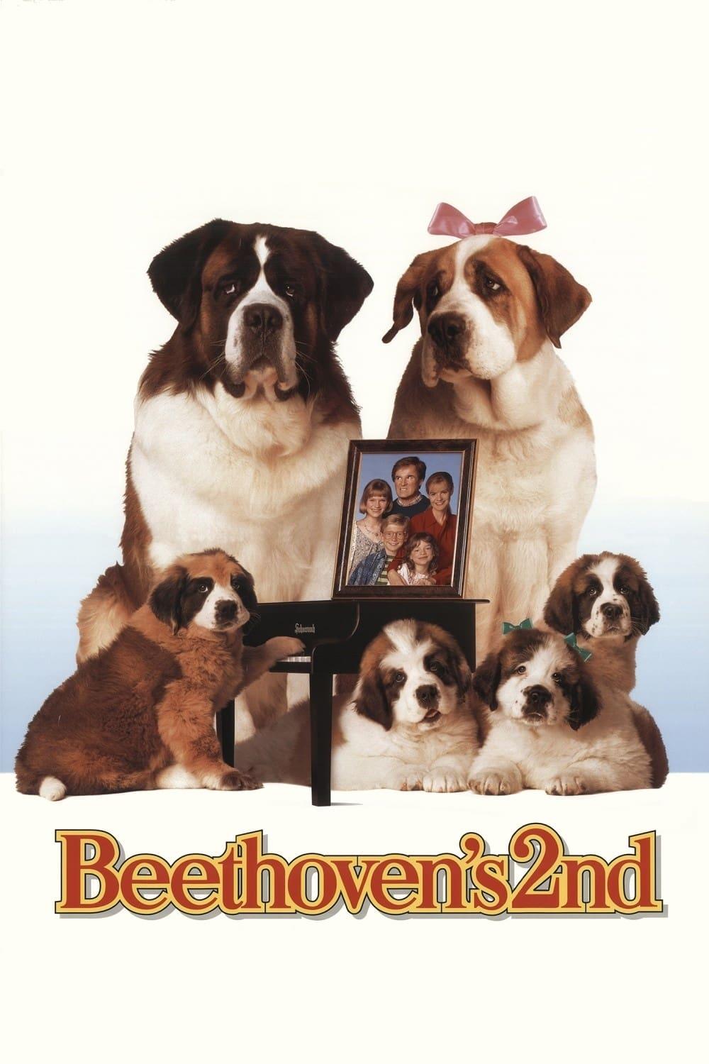 Beethoven's 2nd poster