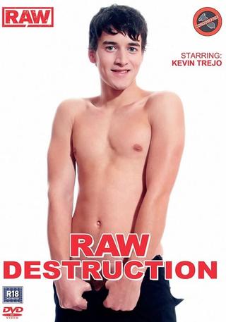 Raw Destruction poster