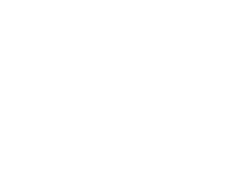 Brendan Schaub: You'd Be Surprised logo