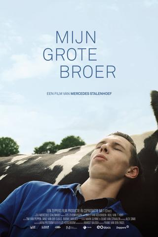 Mijn grote broer poster