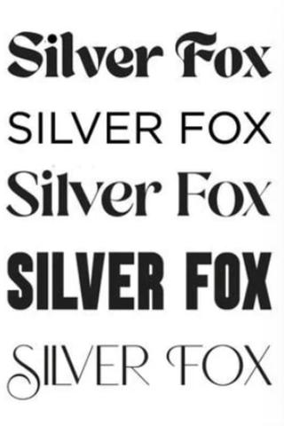 Silver Fox poster