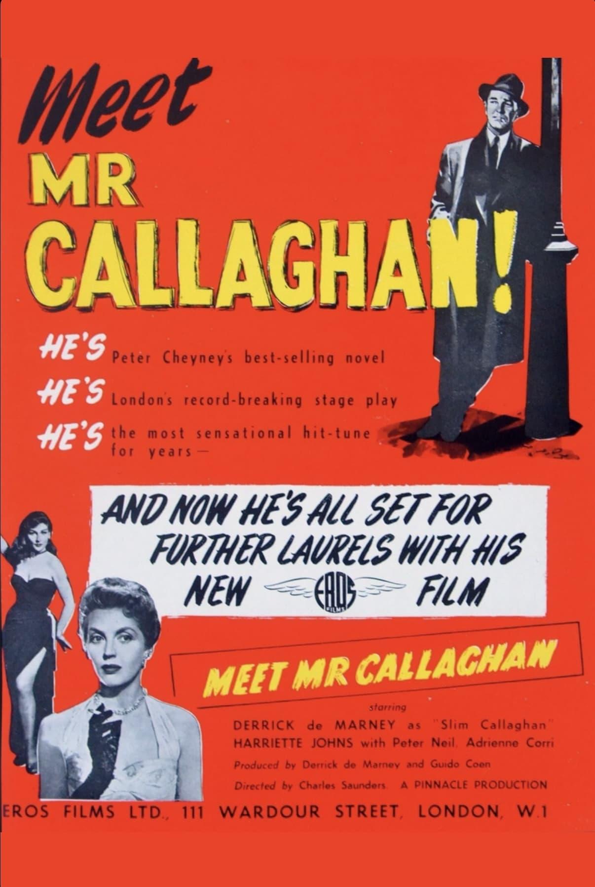 Meet Mr. Callaghan poster