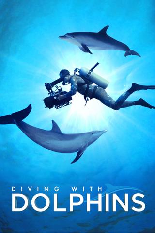 Diving with Dolphins poster