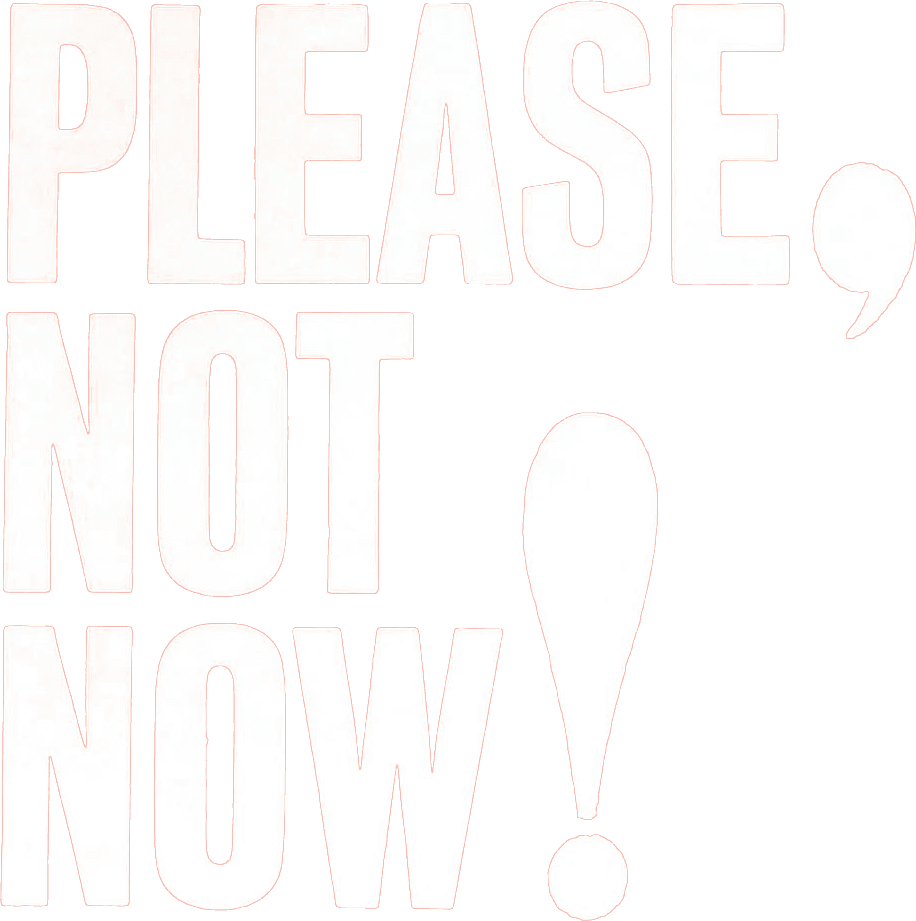 Please, Not Now! logo